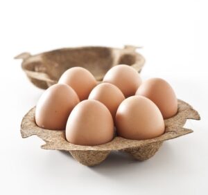 Hen’s eggs in cocoform biodegradable packaging by Enkev